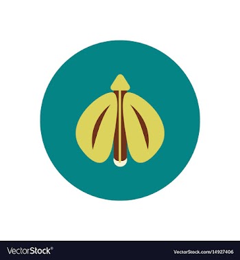 Stylish icon in color circle flying beetle vector image