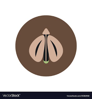 Stylish icon in color circle flying beetle vector image