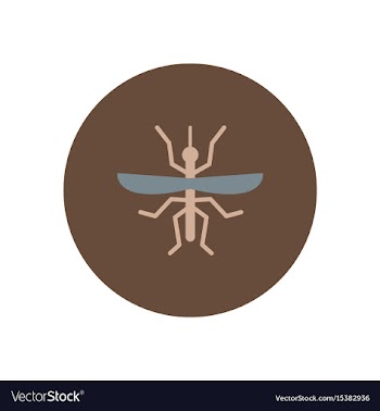 Stylish icon in color circle flying beetle vector image