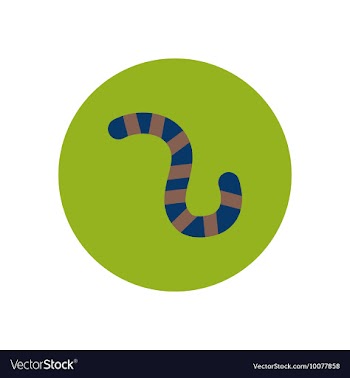 Stylish icon in color circle insect caterpillar vector image