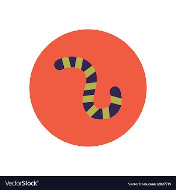 Stylish icon in color circle insect caterpillar vector image