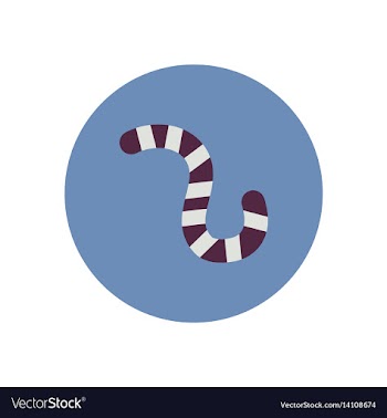 Stylish icon in color circle insect caterpillar vector image