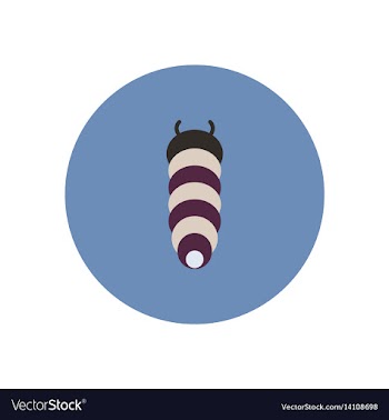 Stylish icon in color circle insect caterpillar vector image