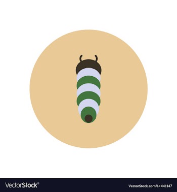 Stylish icon in color circle insect caterpillar vector image