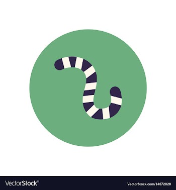 Stylish icon in color circle insect caterpillar vector image