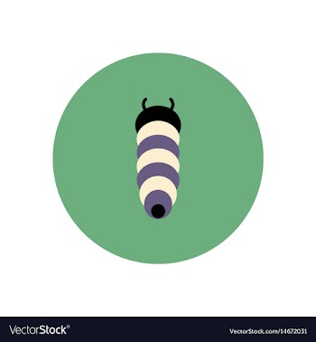 Stylish icon in color circle insect caterpillar vector image