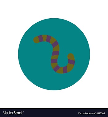 Stylish icon in color circle insect caterpillar vector image