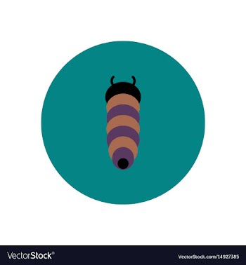 Stylish icon in color circle insect caterpillar vector image