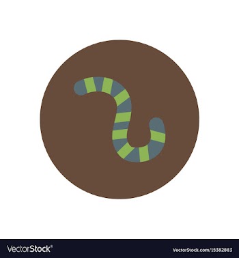 Stylish icon in color circle insect caterpillar vector image