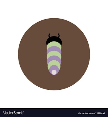 Stylish icon in color circle insect caterpillar vector image