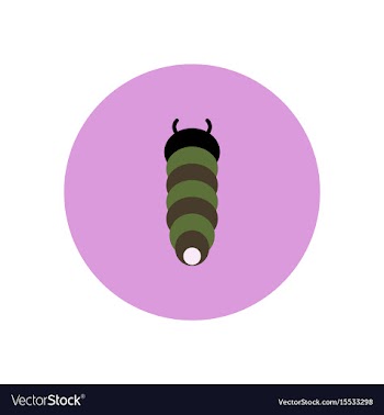 Stylish icon in color circle insect caterpillar vector image