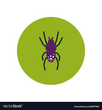 Stylish icon in color circle spider insect vector image