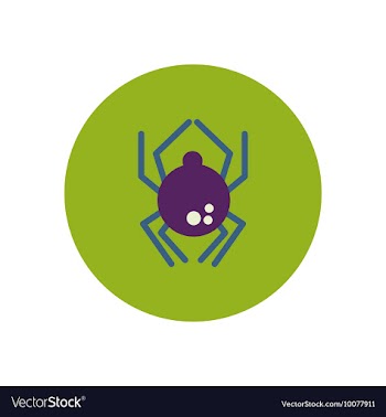 Stylish icon in color circle spider insect vector image