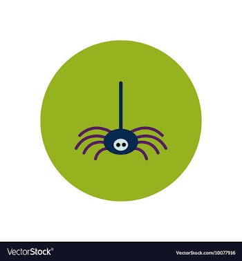 Stylish icon in color circle spider insect vector image