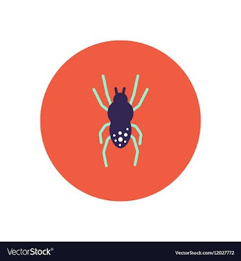 Stylish icon in color circle spider insect vector image