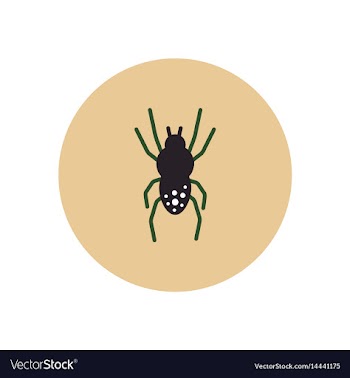 Stylish icon in color circle spider insect vector image
