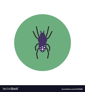 Stylish icon in color circle spider insect vector image