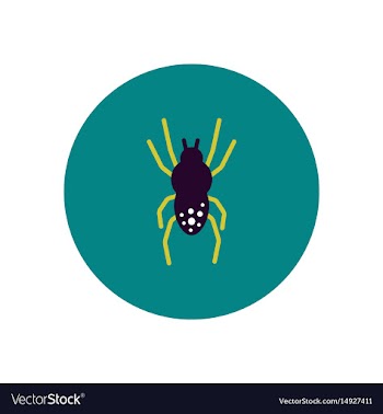 Stylish icon in color circle spider insect vector image