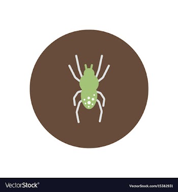 Stylish icon in color circle spider insect vector image