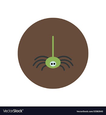 Stylish icon in color circle spider insect vector image
