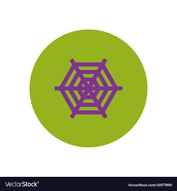 Stylish icon in color circle spider web vector image