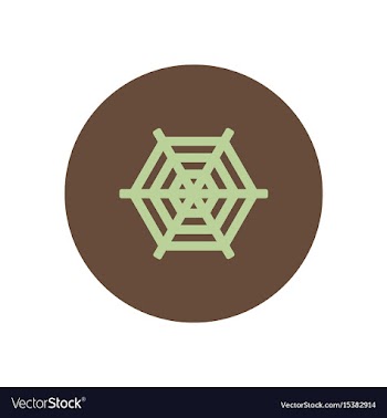 Stylish icon in color circle spider web vector image