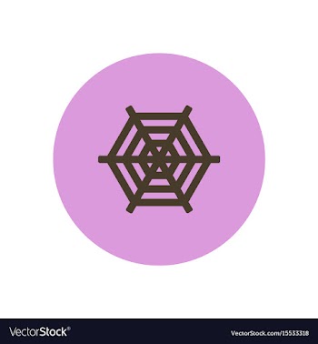 Stylish icon in color circle spider web vector image