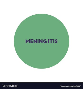 Stylish icon in color circle text meningitis vector image