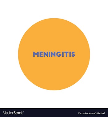 Stylish icon in color circle text meningitis vector image