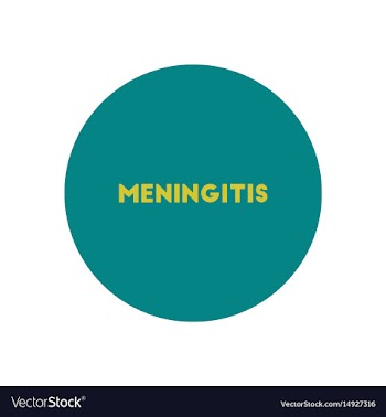 Stylish icon in color circle text meningitis vector image