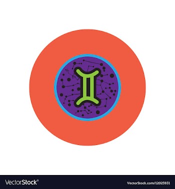 Stylish icon in color circle Zodiac sign Gemini vector image