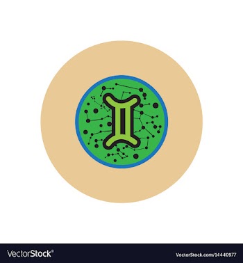 Stylish icon in color circle zodiac sign gemini vector image