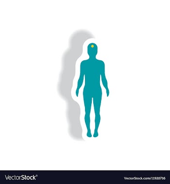Stylish icon in paper sticker style body stroke vector image