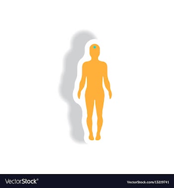 Stylish icon in paper sticker style body stroke vector image