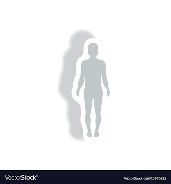 Stylish icon in paper sticker style body stroke vector image