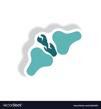 Stylish icon in paper sticker style bone fracture vector image