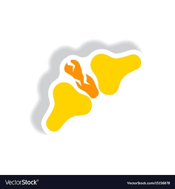 Stylish icon in paper sticker style bone fracture vector image