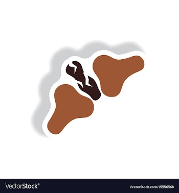 Stylish icon in paper sticker style bone fracture vector image