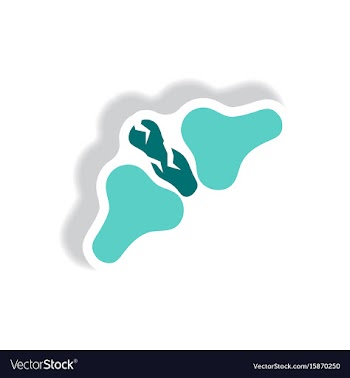 Stylish icon in paper sticker style bone fracture vector image