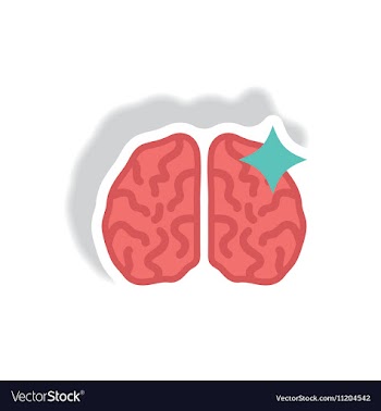 Stylish icon in paper sticker style brain stroke vector image