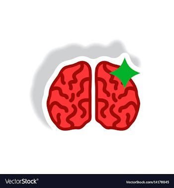 Stylish icon in paper sticker style brain stroke vector image