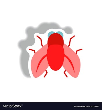 Stylish icon in paper sticker style fly insect vector image