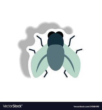 Stylish icon in paper sticker style fly insect vector image