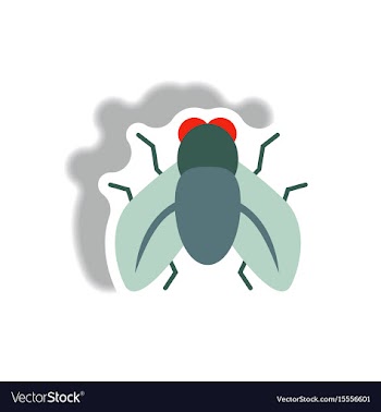 Stylish icon in paper sticker style fly insect vector image