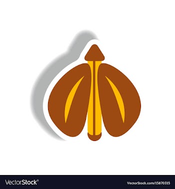 Stylish icon in paper sticker style flying beetle vector image