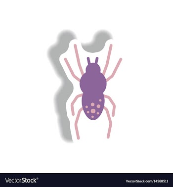 Stylish icon in paper sticker style spider insect vector image