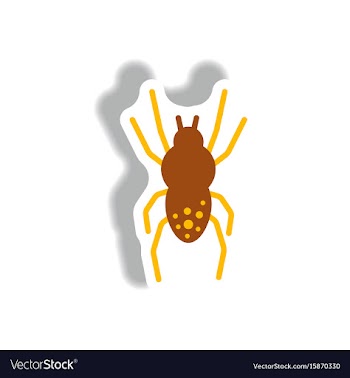 Stylish icon in paper sticker style spider insect vector image