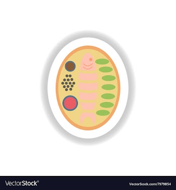 Stylish paper sticker grilled fish on a plate vector image