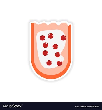 Stylish paper sticker on a white background vector image