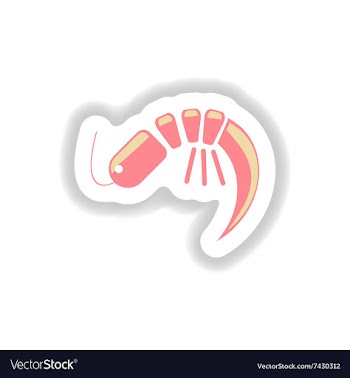 Stylish paper sticker on white seafood shrimp vector image